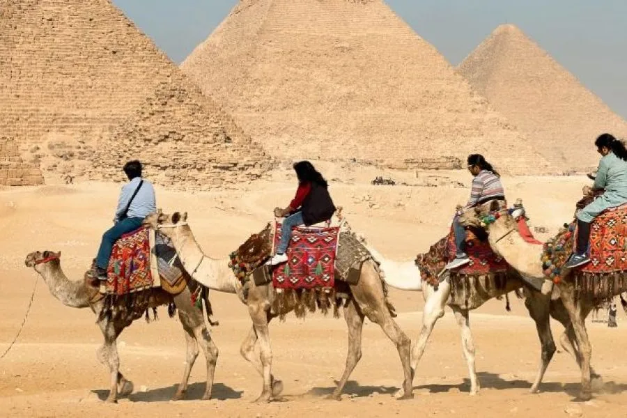 Cairo Trip By Big Bus (New Museum)