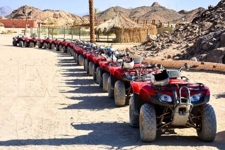 Private Quad Safari (3 Hours)