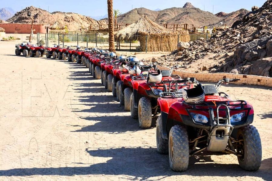 Private Quad Safari (3 Hours)